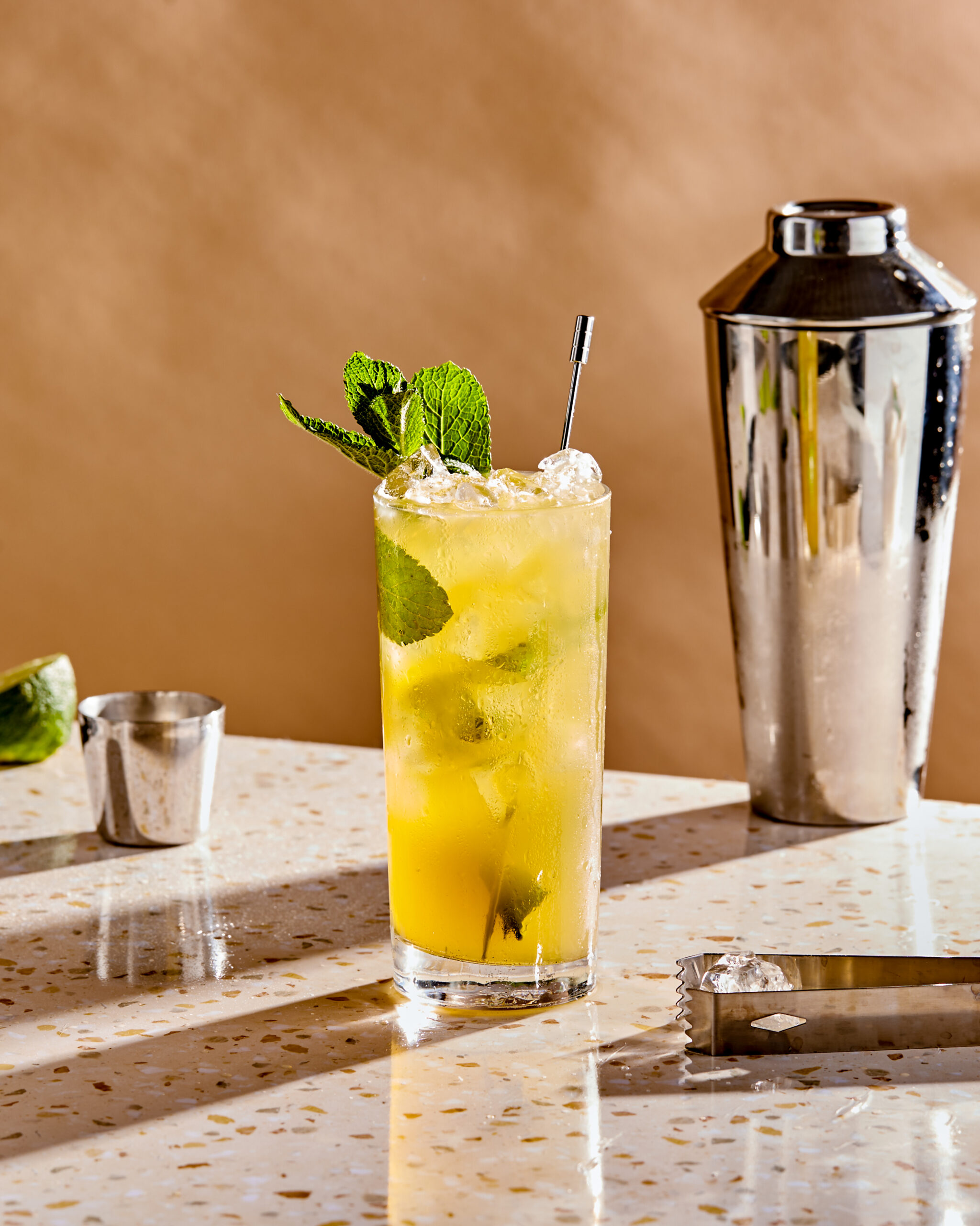 Tenango Rum Mojito